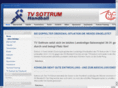 tvshandball.com