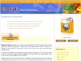 deletedfilerecovery.net