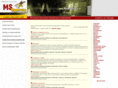msagency.ru