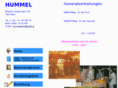 hummel-generalvertretungen.com