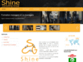 shineconsultinggroup.com