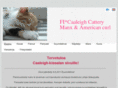 caaleigh.com