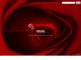 switchingroles.net