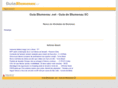 guiablumenau.net