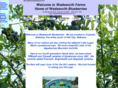 wadsworthblueberries.com