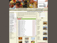 india-travel.com
