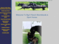 bigkranchwarmbloods.com