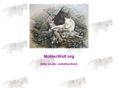 motherwolf.org