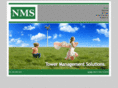 nmstowers.com
