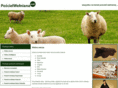 poscielwelniana.net