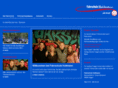fahrschule-holtmann.com