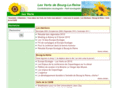 lesvertsblr.org