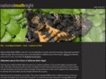 nationalmothnight.info