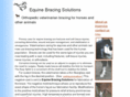 equinebracing.com