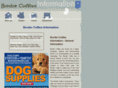 border-collies-information.com
