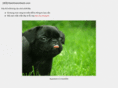 thanhtoannhanh.com
