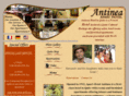 hotelantinea.com