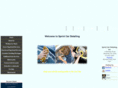 sprintcardetailing.com