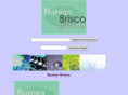 bureaubrisco.com