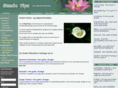 sundetips.com