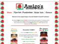 amigo-salsa.org