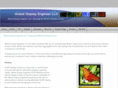 globaldisplayengineer.com