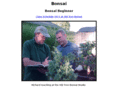 bonsaibeginner.com