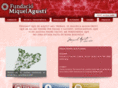 fundaciomiquelagusti.com