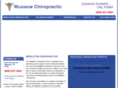 themiddletonchiropractor.com