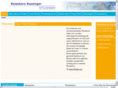 rsb-bussinger.de