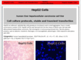 hepg2.com