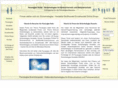 panzerglas.net