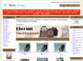 gucci-shops.com