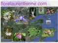 florelaurentienne.com