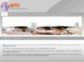 brightitech.com