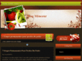 blog-minceur.com