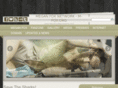 m-fox.org