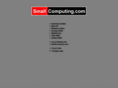 smallcomputinggroup.com
