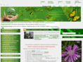 od-flowers.com