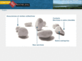 comtoisrocheleau.com