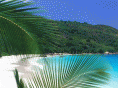 seabreezeseafoodrestaurant.com
