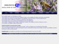 borne-wifi.com