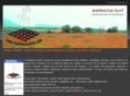 barbacoaolot.com