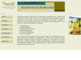 3g-netsol.com
