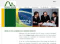 bridges-to-brazil.com