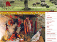 hidalgotorres.com