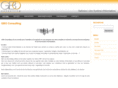 gbo-consulting.com
