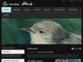 bruno-heiz.com