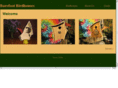 barefootbirdhouses.com