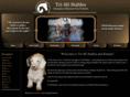 tri-mi.com